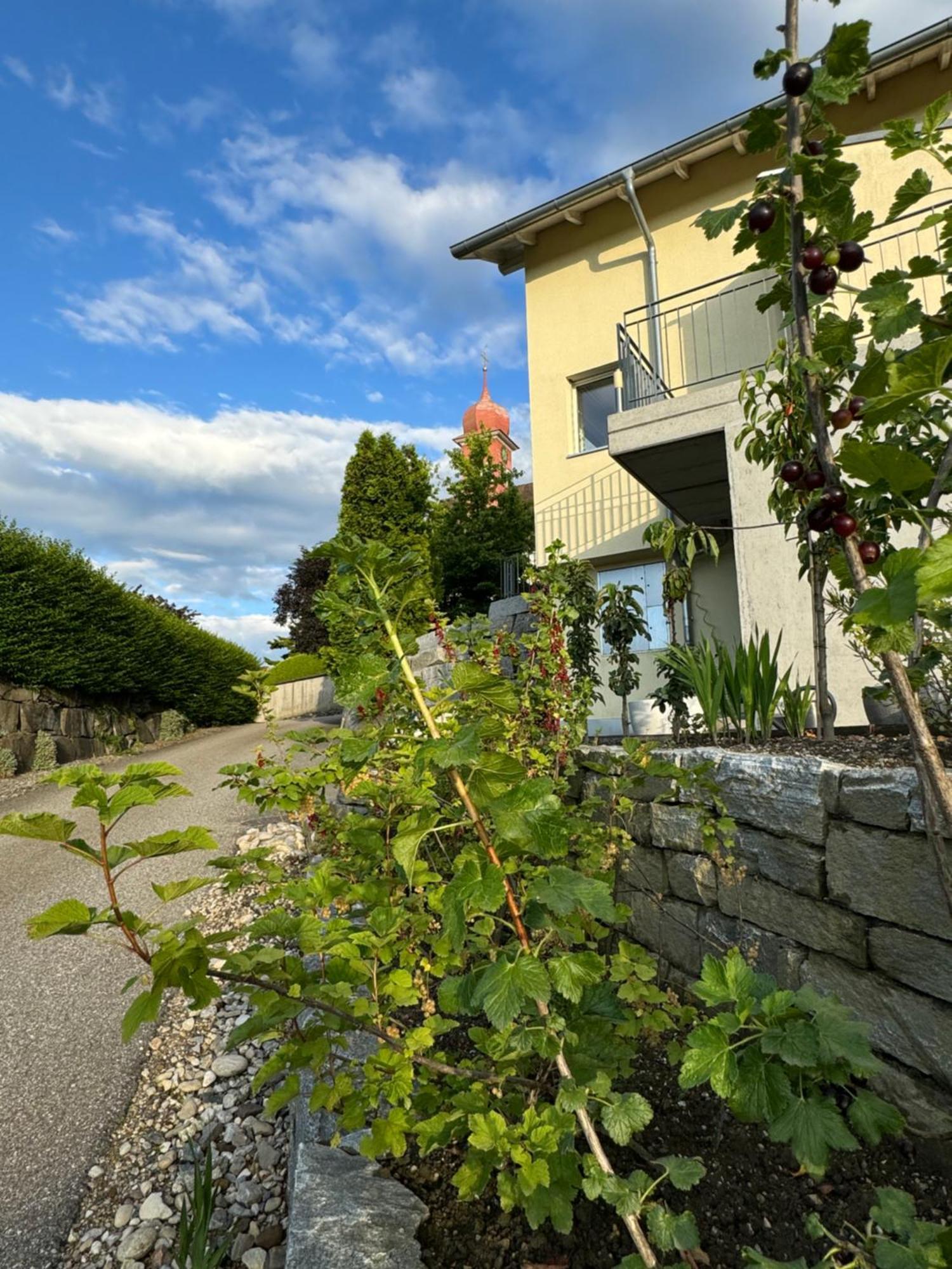 Villa Modern Ufhusen Exteriér fotografie